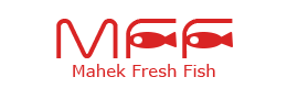 mff Website by Development Ahmedabad