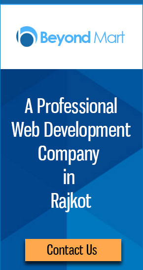Professional web development company